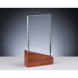 TROPHEE BOIS VERRE