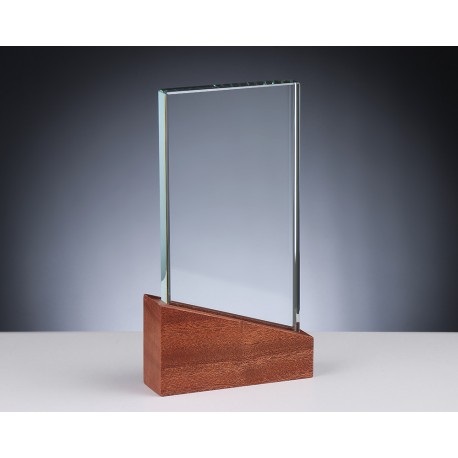 TROPHEE BOIS VERRE