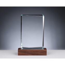 TROPHEE VERRE BOIS