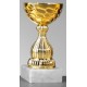Trophée et Coupe Or