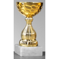 Trophée et Coupe Or