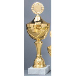 Trophée et Coupe Or