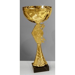 Trophée et Coupe Or