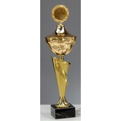 Trophée et Coupe Or