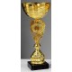 Trophée et Coupe Or
