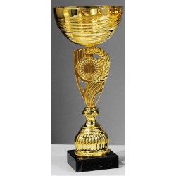 Trophée et Coupe Or