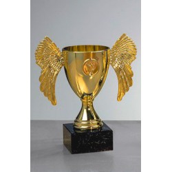 Trophée et Coupe Or