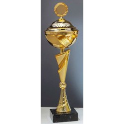 Trophée et Coupe Or