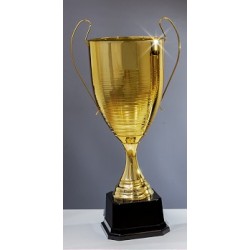 Trophée et Coupe Or