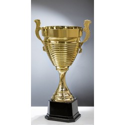 Trophée et Coupe Or