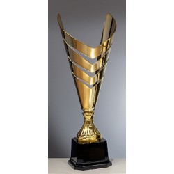 Trophée et Coupe Or