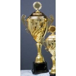 Trophée et Coupe Or