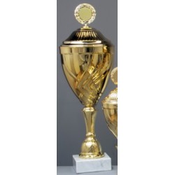 Trophée et Coupe Or