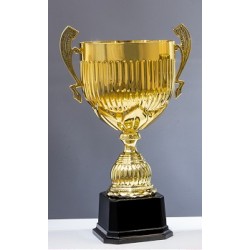 Trophée et Coupe Or