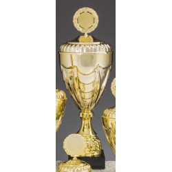 Trophée et Coupe Or