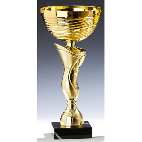 Trophée et Coupe Or