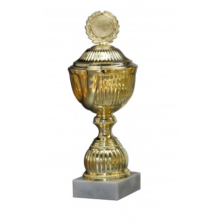 Trophée et Coupe Or