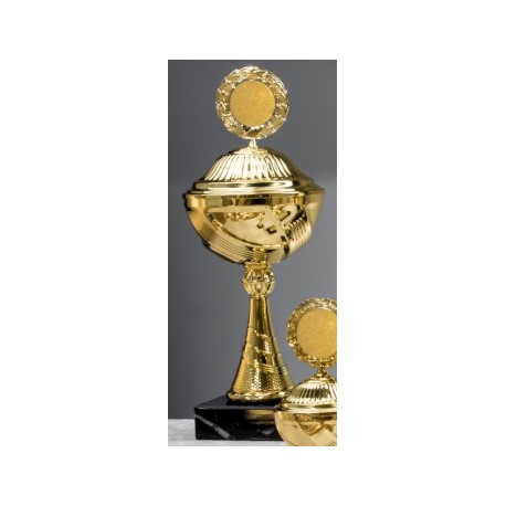 Trophée et Coupe Or