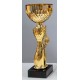Trophée et Coupe Or