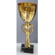 Trophée et Coupe Or
