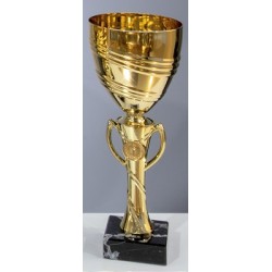 Trophée et Coupe Or