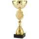 Trophée et Coupe Or
