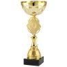 Trophée et Coupe Or