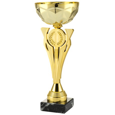 Trophée et Coupe Or