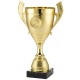 Trophée et Coupe Or