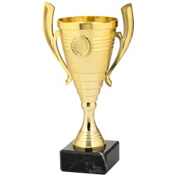 Trophée et Coupe Or