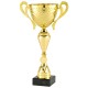 Trophée et Coupe Or