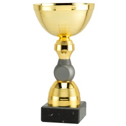 Standard Economique.