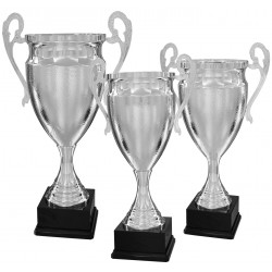 Trophée et Coupe Argent