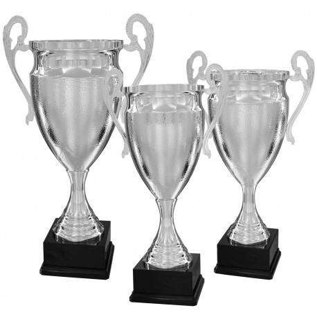 Trophée et Coupe Argent