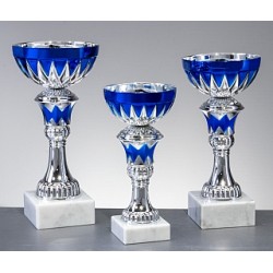Trophée et Coupe Economique