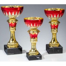 Trophée et Coupe Economique