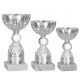 Trophée et Coupe Economique