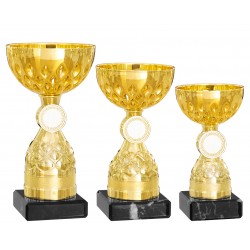 Trophée et Coupe Economique