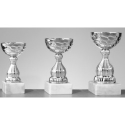 Trophée et Coupe Economique