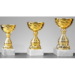 Trophée et Coupe Economique