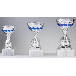 Trophée et Coupe Economique