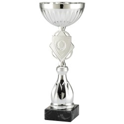 Trophée et Coupe Economique