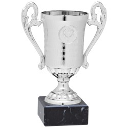 Trophée et Coupe Economique