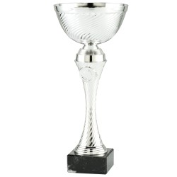 Trophée et Coupe Economique
