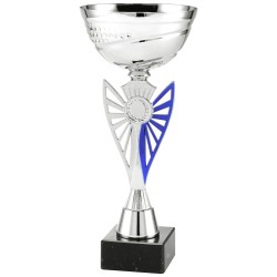 Trophée et Coupe Economique