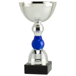 Trophée et Coupe Economique