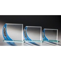 TROPHEE VERRE ECONOMIQUE