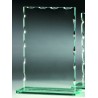 TROPHEE VERRE ECONOMIQUE