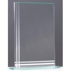 TROPHEE EFFET MIROIR
