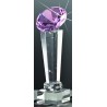 TROPHEE VERRE JADE 66989